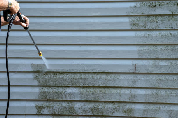 Best Storm Damage Siding Repair  in Warrenton, GA