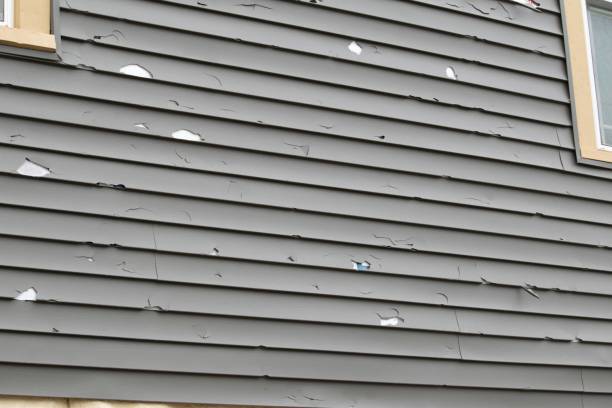 Best Steel Siding Installation  in Warrenton, GA